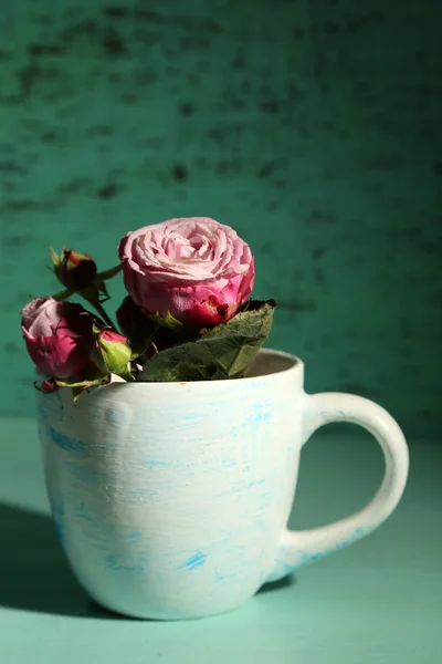 Красиві троянди в чашці на зеленому фоні — стокове фото