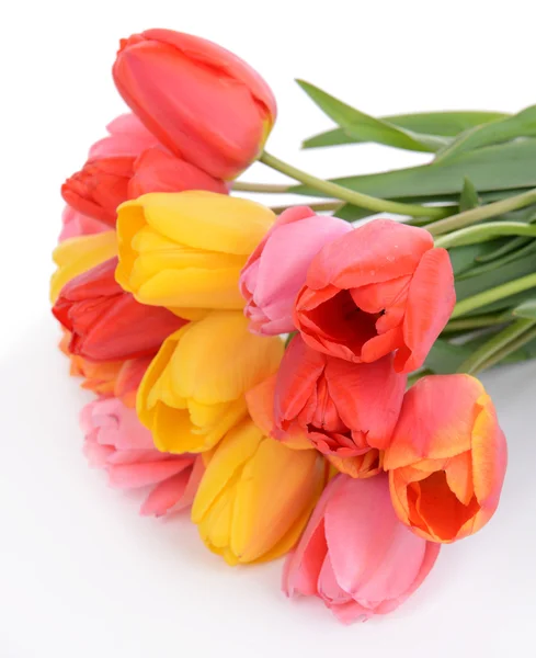 Beautiful tulips in bucket isolated on white — Stock Photo, Image