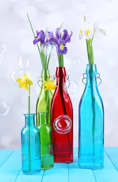 Beautiful irises and daffodils in bottles, on light background — Stock Photo, Image