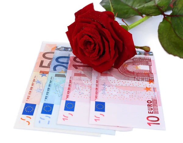 Bela rosa e dinheiro, isolado em branco — Fotografia de Stock