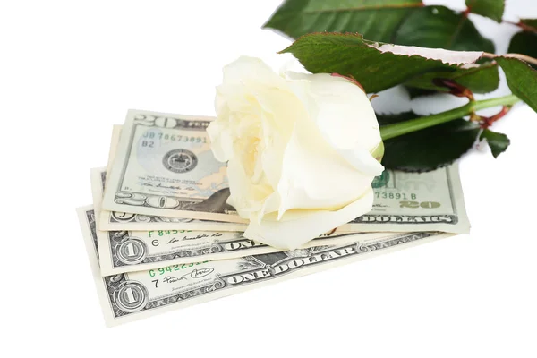 Beautiful rose and money, isolated on white — Stock Photo, Image