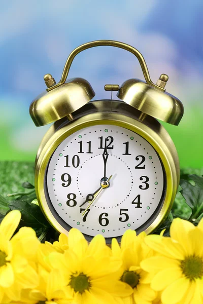 Alarm clock on green grass, on nature background — Stock Photo, Image