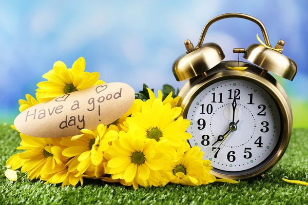 Alarm clock on green grass, on nature background — Stock Photo, Image