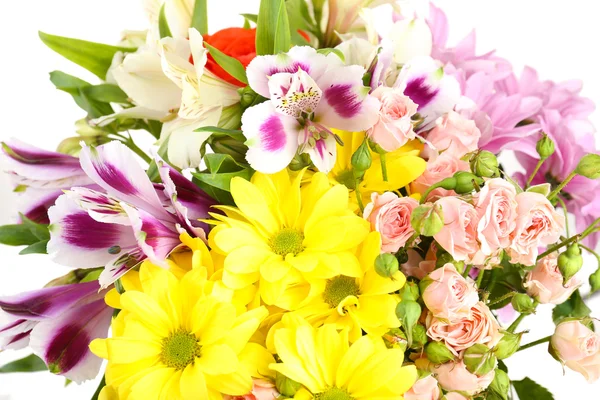 Mooie bloemen close up — Stockfoto
