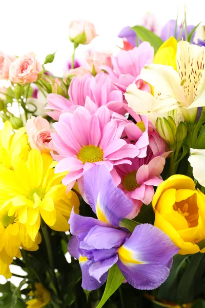 Schöne Blumen aus nächster Nähe — Stockfoto