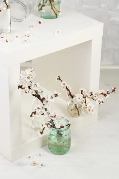 Beautiful apricot blossom in transparent jars on grey wall background — Stock Photo, Image