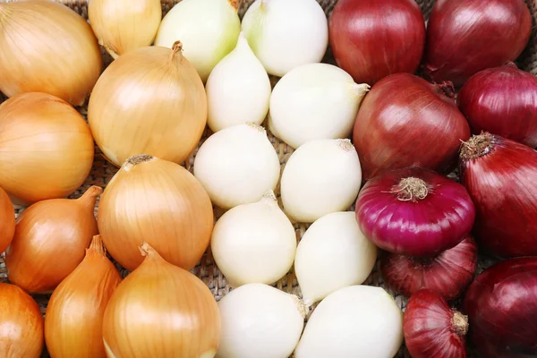 Different raw onion, close up — Stock Photo, Image