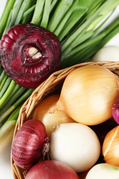 Different raw onion, close up — Stock Photo, Image