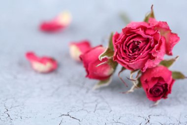 eski ahşap zemin üzerinde güzel pembe kurutulmuş güller