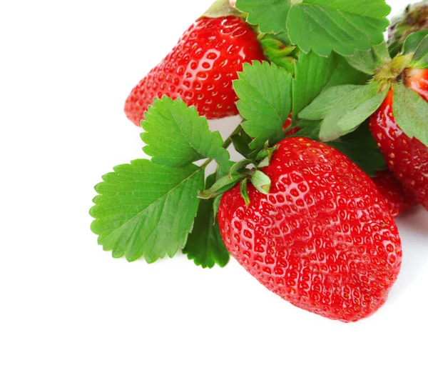 Fragole con foglie isolate su bianco — Foto Stock