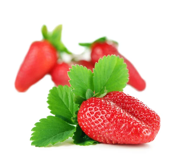 Strawberries with leaves isolated on white — Stock Photo, Image