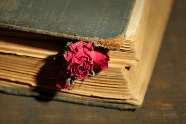 Libro viejo con hermosas rosas secas rosadas sobre fondo de madera viejo —  Fotos de Stock