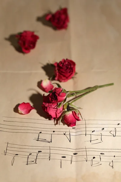 Hermosas rosas secas rosadas sobre papel viejo con notas —  Fotos de Stock