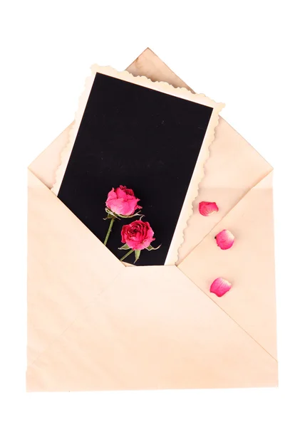 Envelope velho com papel fotográfico em branco e belas rosas rosa secas, isolado em branco — Fotografia de Stock