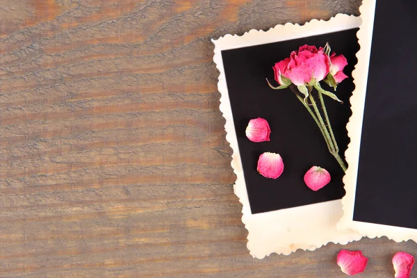 Papel fotográfico en blanco y hermosas rosas secas rosadas sobre fondo de madera —  Fotos de Stock