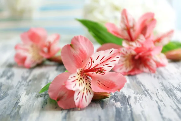 Beautiful Alstroemeria flowers on grey wooden table — Stock Photo, Image