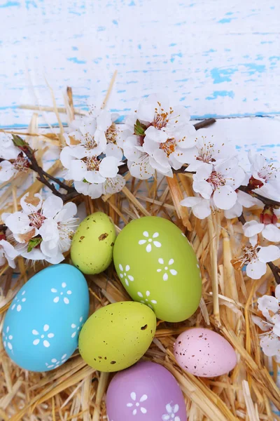 Composición de Pascua con ramas florecientes en primer plano de mesa de madera — Foto de Stock