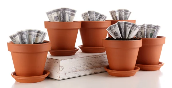 Bedrijfsconcept: groeiende geld in de bloempotten, geïsoleerd op wit — Stockfoto