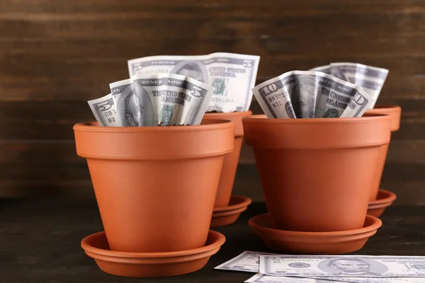 Business concept: growing money in the flowerpots on table — Stock Photo, Image