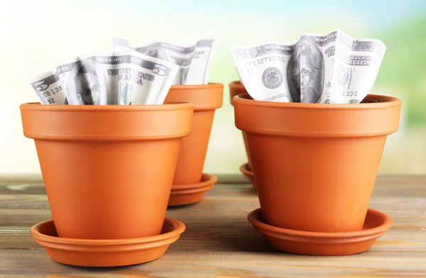 Concept d'entreprise : cultiver l'argent dans les pots de fleurs sur fond de nature — Photo