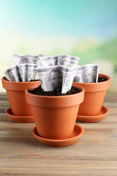 Business concept: growing money in the flowerpots on nature background — Stock Photo, Image