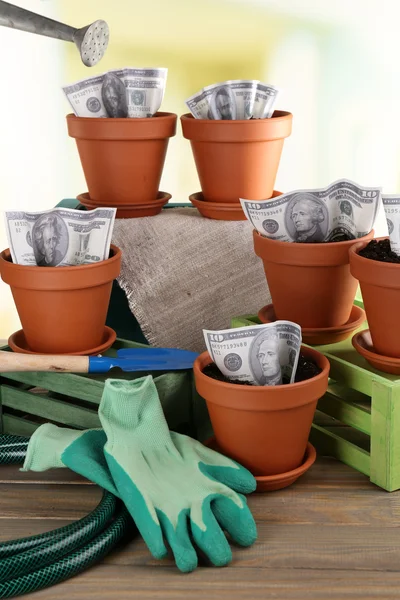 Konsep bisnis: tumbuh uang di pot bunga dan alat berkebun di latar belakang alam — Stok Foto