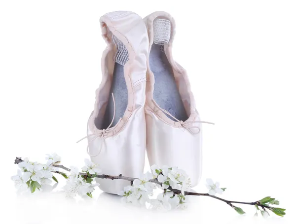 Ballet pointe shoes with blossoming branch isolated on white — Stock Photo, Image
