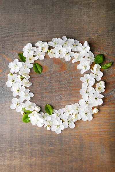 Beautiful cherry blossom on wooden background — Stock Photo, Image