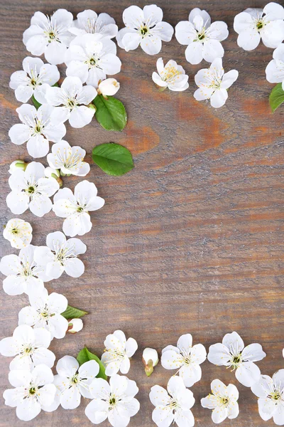 Hermosa flor de cerezo sobre fondo de madera —  Fotos de Stock