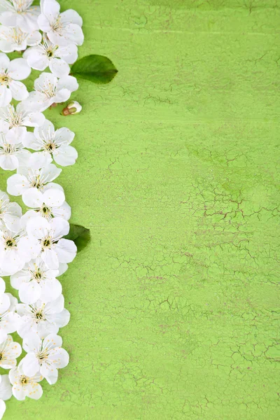 Beautiful cherry blossom on wooden background — Stock Photo, Image