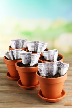 iş kavramı: Çiçeklik doğa arka plan üzerinde para büyüyen