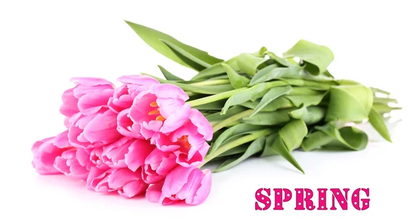 Lindas tulipas rosa, isoladas em branco — Fotografia de Stock