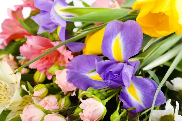 Hermosas flores de cerca —  Fotos de Stock