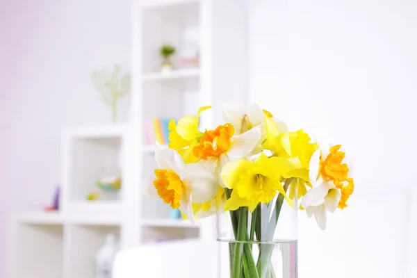 Bellissimi fiori primaverili in vaso su sfondo interno domestico — Foto Stock