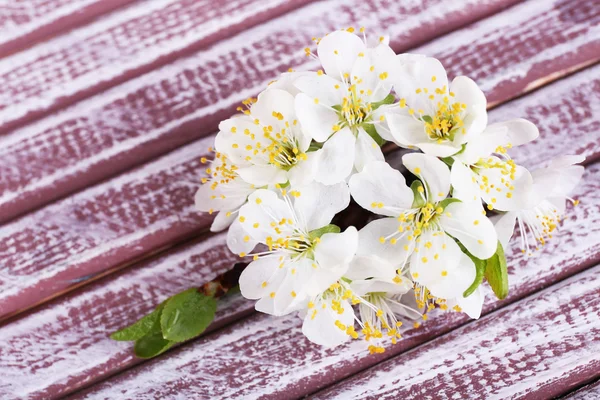Rama de árbol floreciente con flores blancas sobre fondo de madera — Foto de Stock