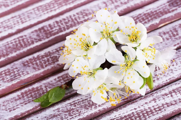 Blommande trädgren med vita blommor på trä bakgrund — Stockfoto