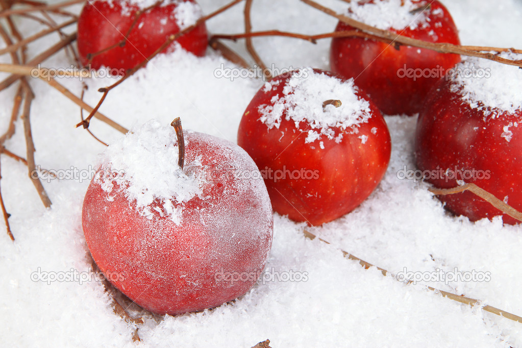 Red apples in snow close up