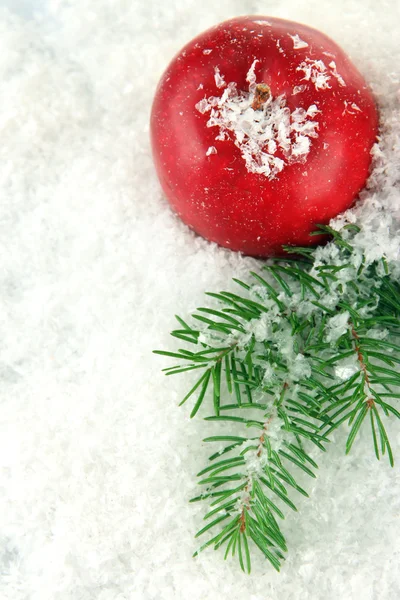 Roter Apfel mit Tannenzweigen im Schnee aus nächster Nähe — Stockfoto