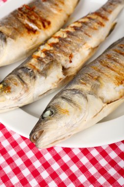 Nefis ızgara balık plaka üzerinde tablo yakın çekim