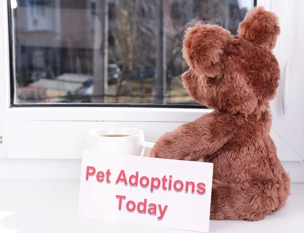 Toy-bear looking out window close-up — Stock Photo, Image