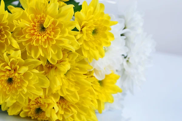 Bellissimi fiori di crisantemo isolati su bianco — Foto Stock