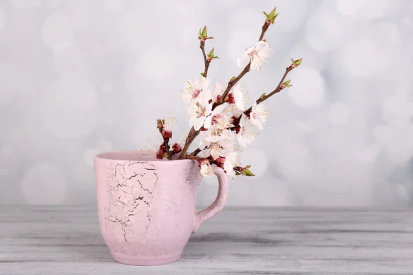 Beautiful apricot blossom in cup on light background — Stock Photo, Image