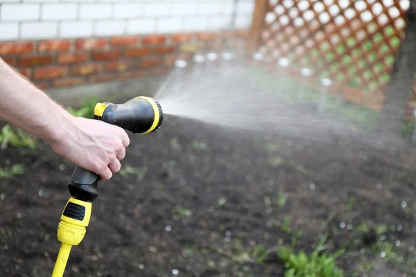 Trädgårdsmästare vattning trädgård — Stockfoto