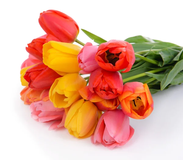 Schöne Tulpen im Eimer isoliert auf weiß — Stockfoto