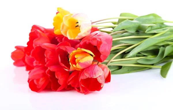 Bunte Tulpen isoliert auf weiß — Stockfoto