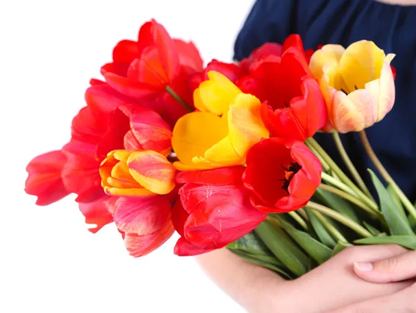 Tulipanes coloridos en manos femeninas aisladas en blanco —  Fotos de Stock