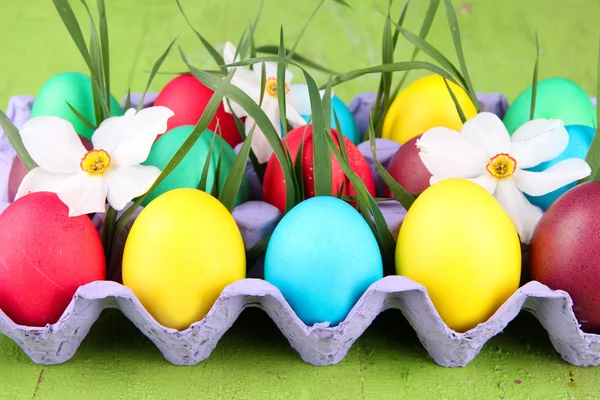 Colorful Easter eggs with grass and flowers in tray on wooden background — Stock Photo, Image