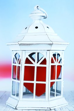 kalp açık renkli kafeste