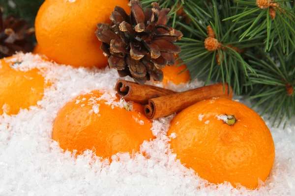 Tangerinas maduras com ramo de abeto na neve perto — Fotografia de Stock