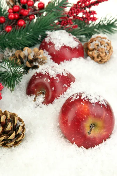 Rode appels met fir vestigingen in sneeuw close-up — Stockfoto